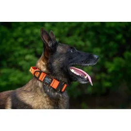 40mm COBRA® dog collar